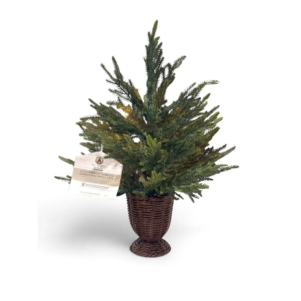 My Texas House 2' Pre-Lit Norfolk Pine Christmas Tree 30 Twinkle LEDs 2026